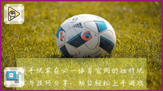 新手玩家在必一体育官网的独特玩法与技巧分享，助你轻松上手游戏世界！