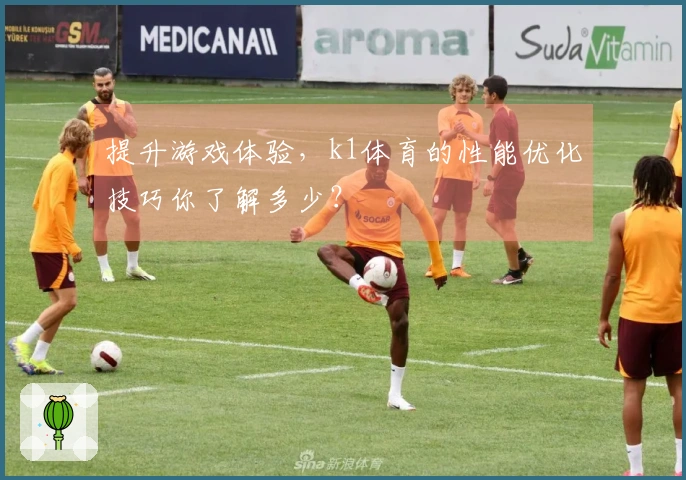 提升游戏体验，k1体育的性能优化技巧你了解多少？